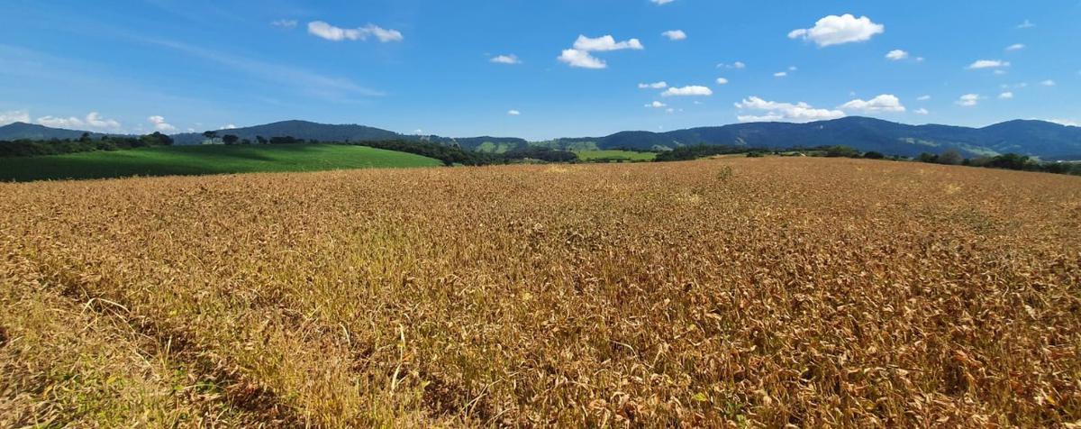 Fazenda, Centro, 1 Quarto, 1 Vaga