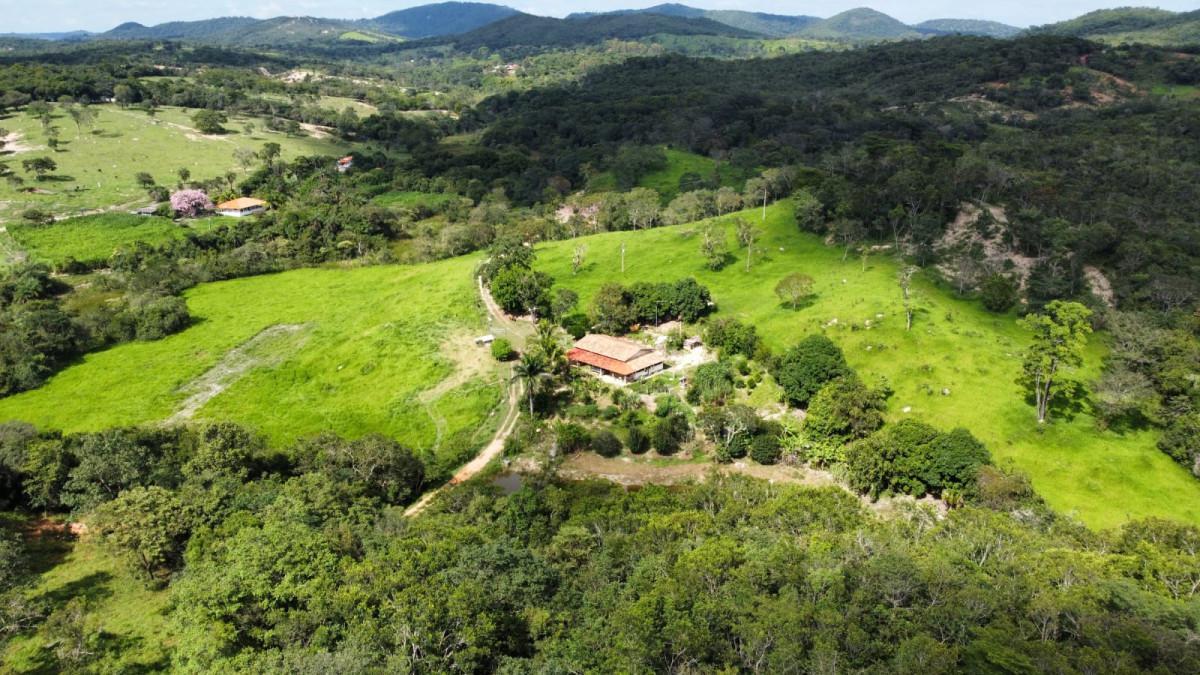 Fazenda, Centro, 0 Quarto, 0 Vaga