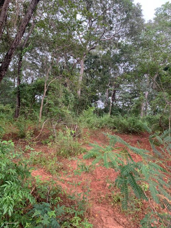 Fazenda, Zona Rural, 0 Quarto, 0 Vaga