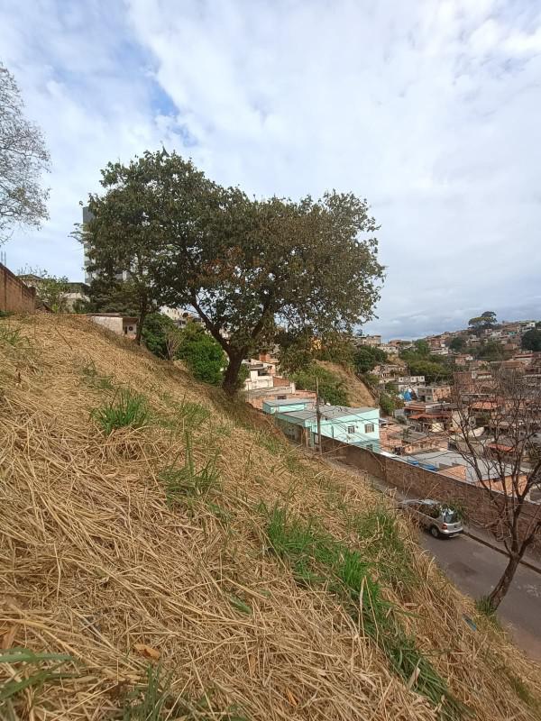 Lote, Salgado Filho, 0 Quarto, 0 Vaga