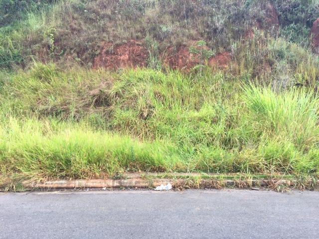 Lote, São Damião, 0 Quarto, 0 Vaga