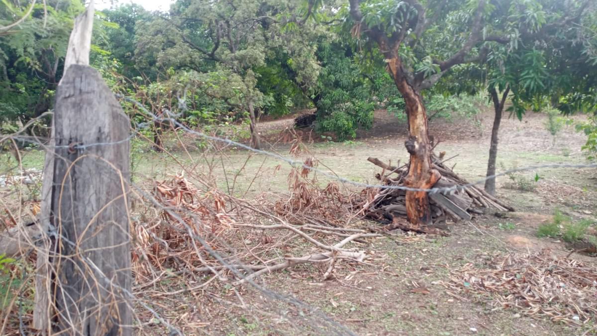 Lote, Bom Retiro, 0 Quarto, 0 Vaga