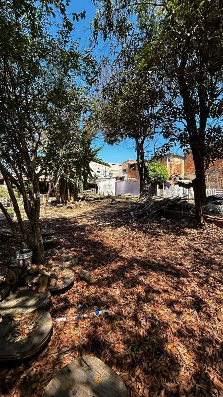 Lote, Caiapós, 3 Quartos, 3 Vagas
