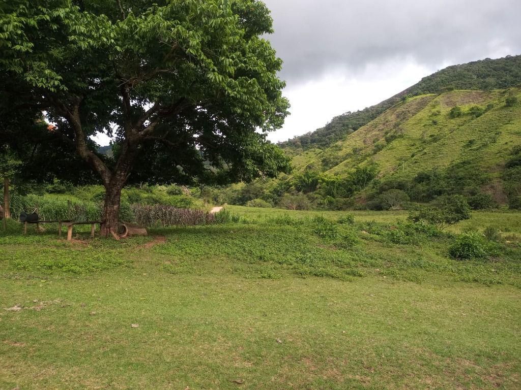 Fazenda, Centro, 3 Quartos, 0 Vaga, 1 Suíte