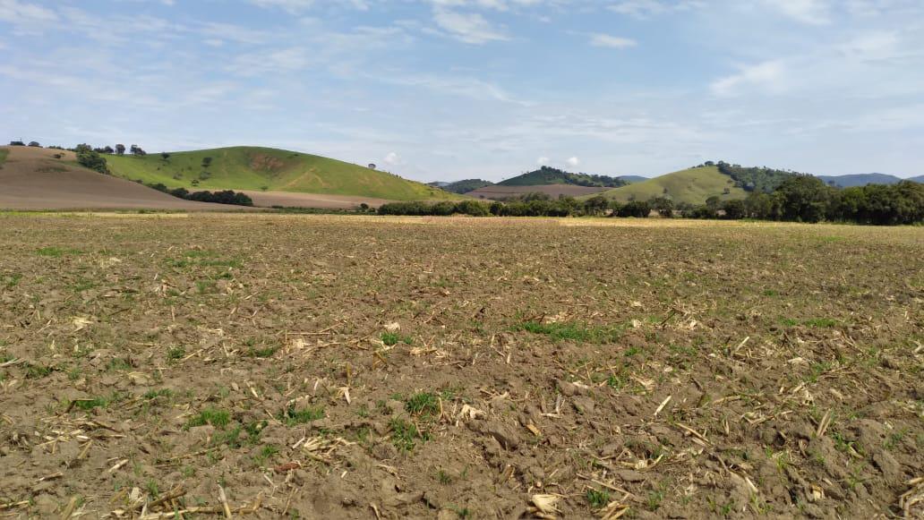 Fazenda, Dos Campos, 3 Quartos, 5 Vagas