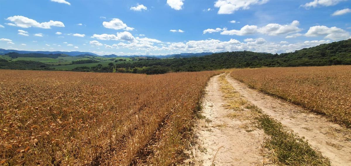 Fazenda, Centro, 1 Quarto, 1 Vaga