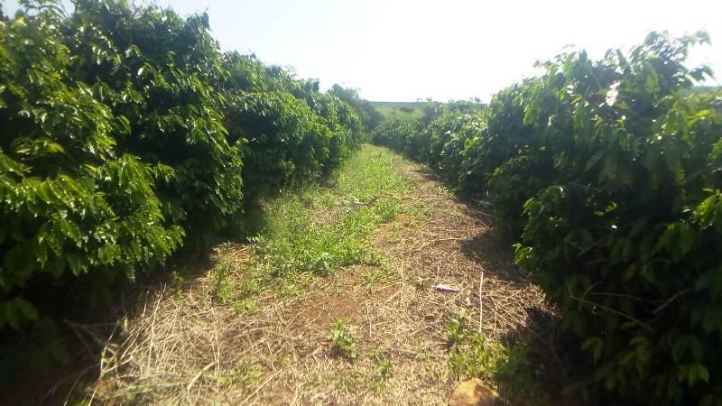 Fazenda, Zona Rural, 0 Quarto, 0 Vaga