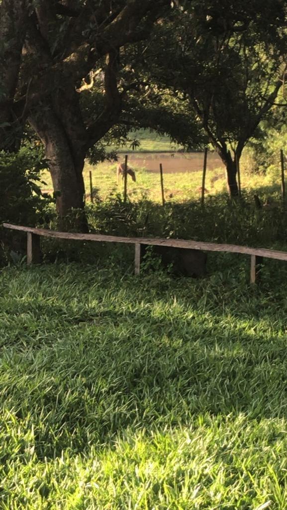 Fazenda, Área Rural de Pará de Minas, 3 Quartos, 0 Vaga, 1 Suíte