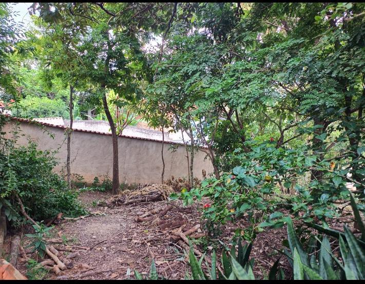 Lote, Granja Vista Alegre, 0 Quarto, 0 Vaga