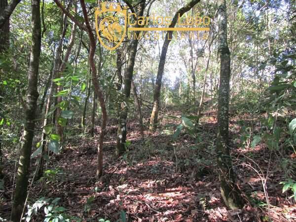 Lote, Passárgada, 0 Quarto, 0 Vaga