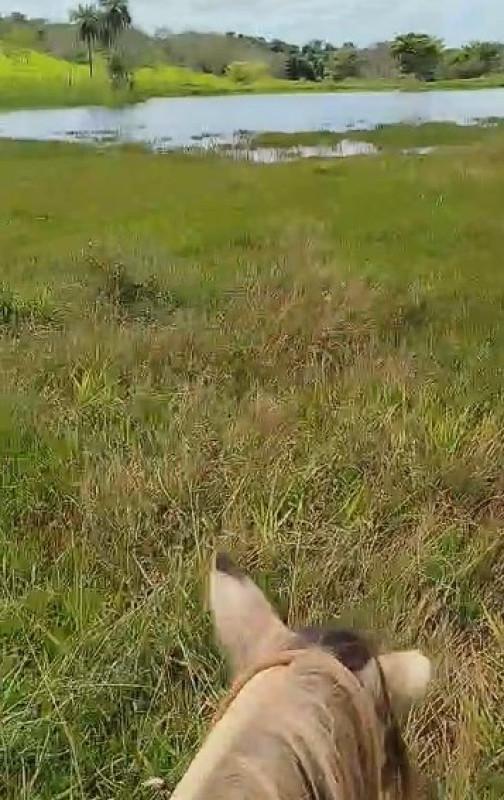 Fazenda, Zona Rural, 0 Quarto, 0 Vaga