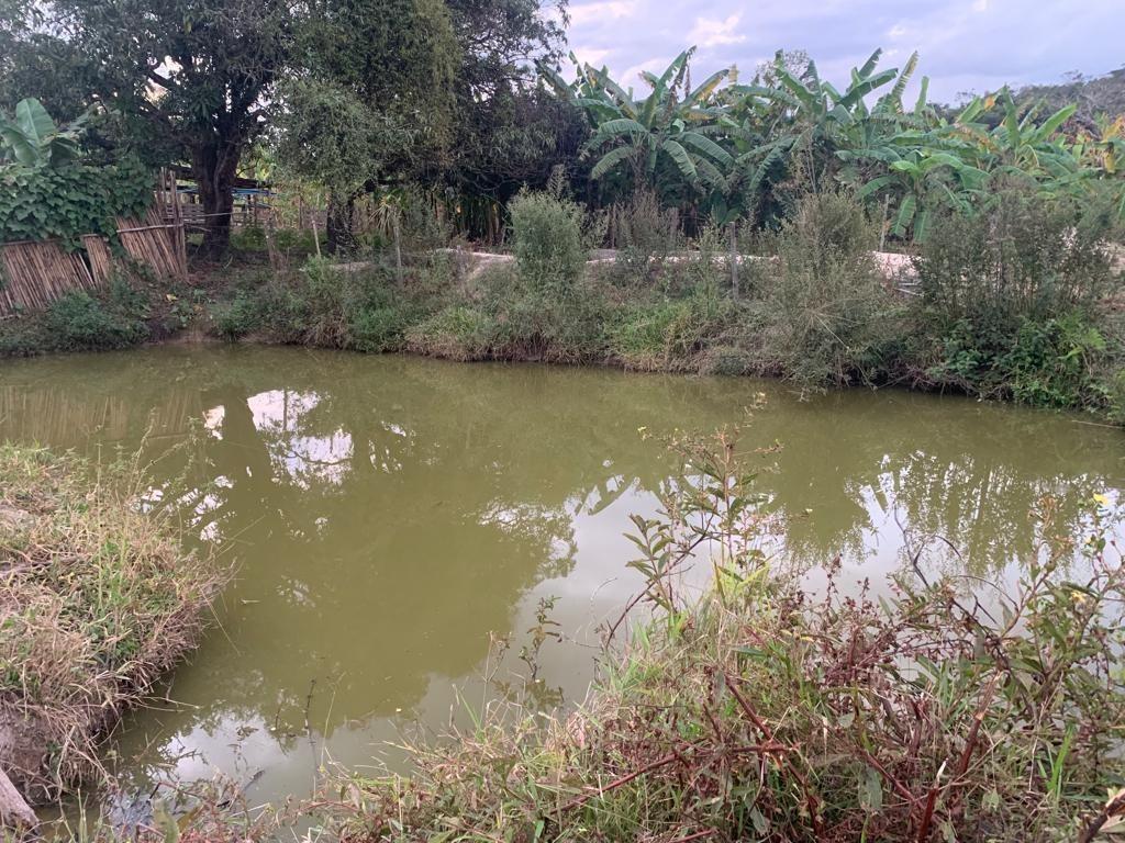 Fazenda, Área Rural de Pará de Minas, 3 Quartos, 0 Vaga, 1 Suíte