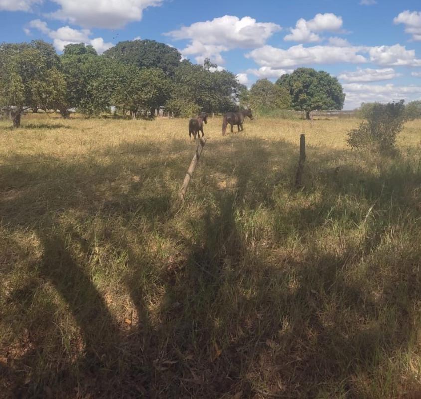 Fazenda, Zona Rural, 0 Quarto, 0 Vaga