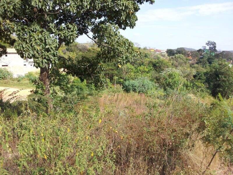 Lote, Tropical, 0 Quarto, 0 Vaga