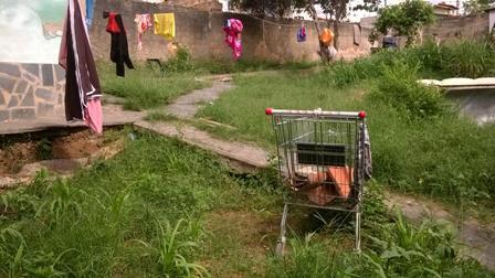 Lote, Nossa Senhora da Conceição