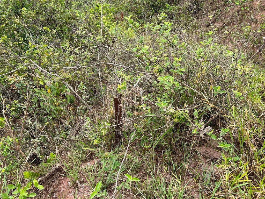 Lote, Santo Antônio (roça Grande), 0 Quarto, 0 Vaga