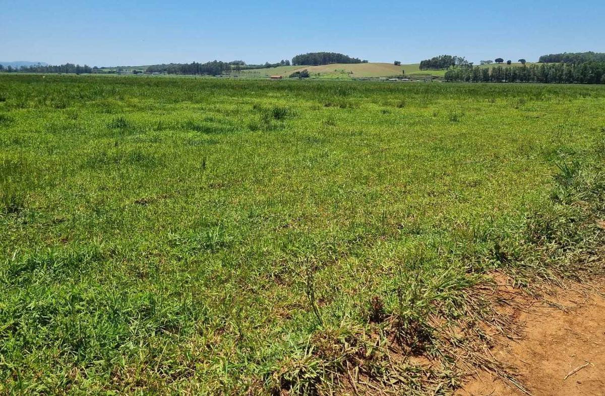 Fazenda, Centro, 0 Quarto, 0 Vaga