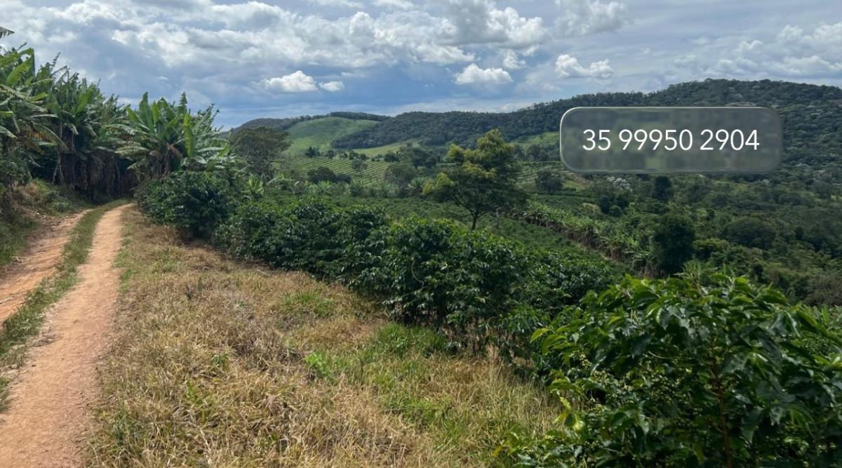 Fazenda, Zona Rural, 0 Quarto, 0 Vaga