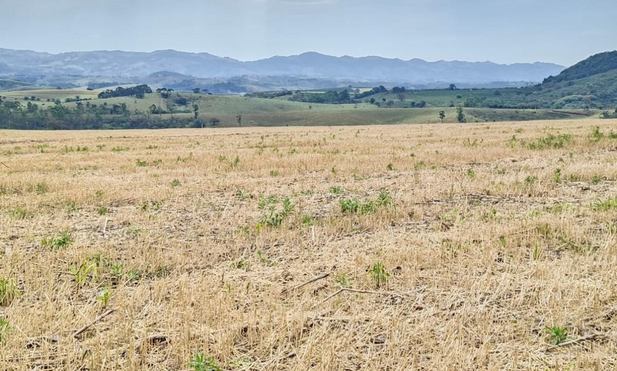 Fazenda, Zona Rural, 0 Quarto, 0 Vaga