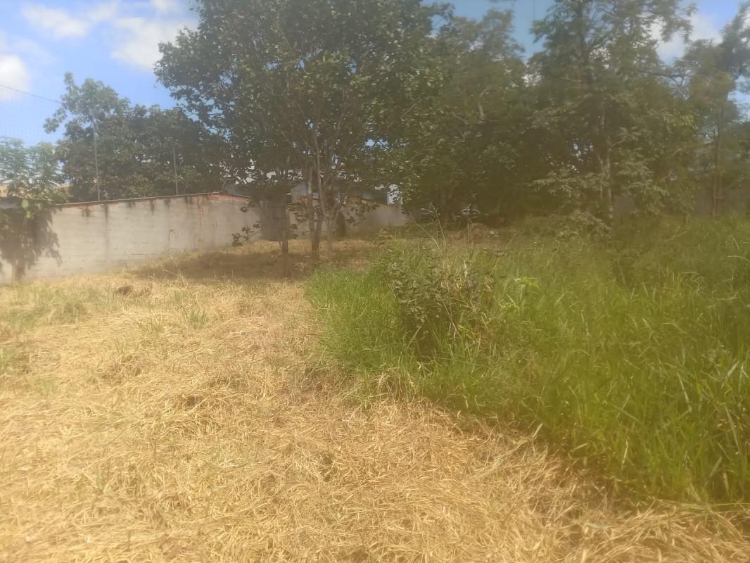Lote, Jardim Ipê, 0 Quarto, 0 Vaga