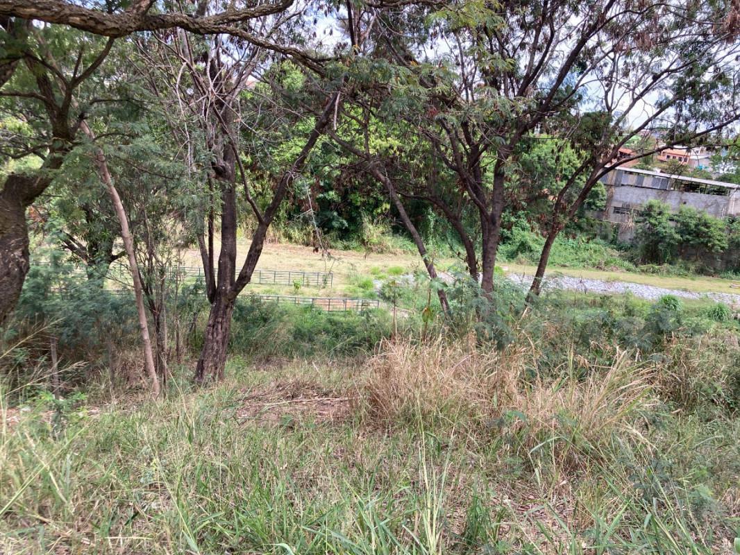 Lote, Santa Mônica, 0 Quarto, 0 Vaga