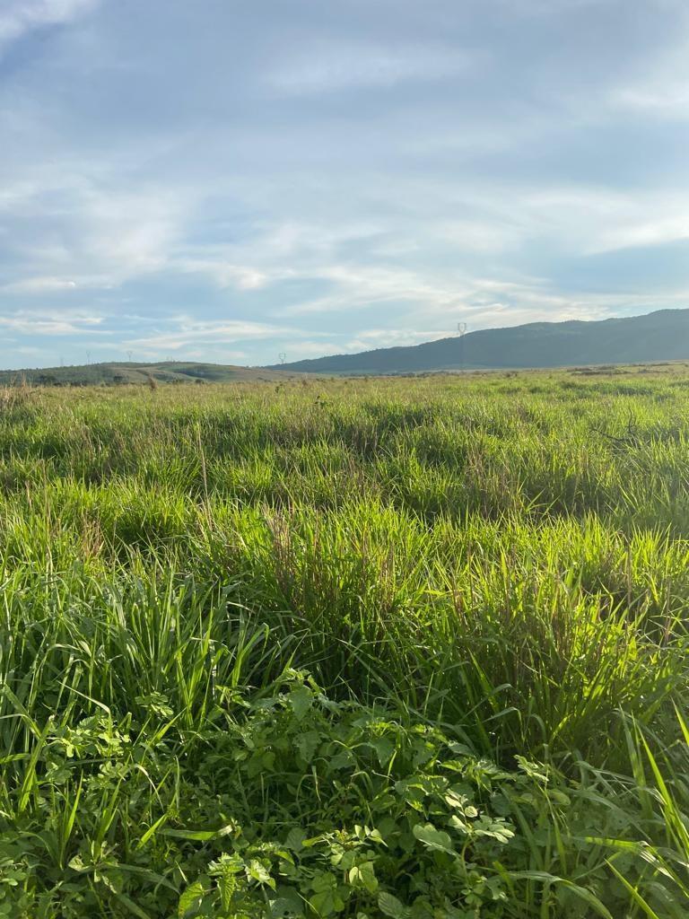 Fazenda, Zona Rural, 3 Quartos, 1 Vaga, 1 Suíte