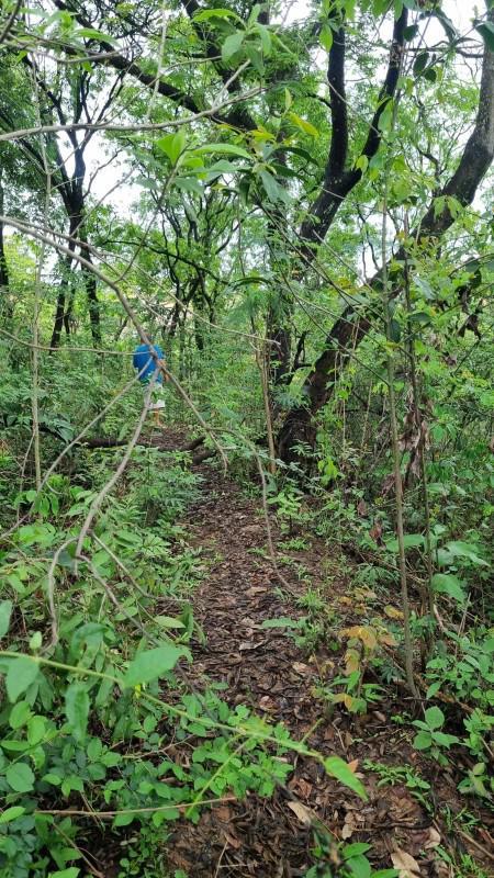 Fazenda, Centro, 0 Quarto, 0 Vaga