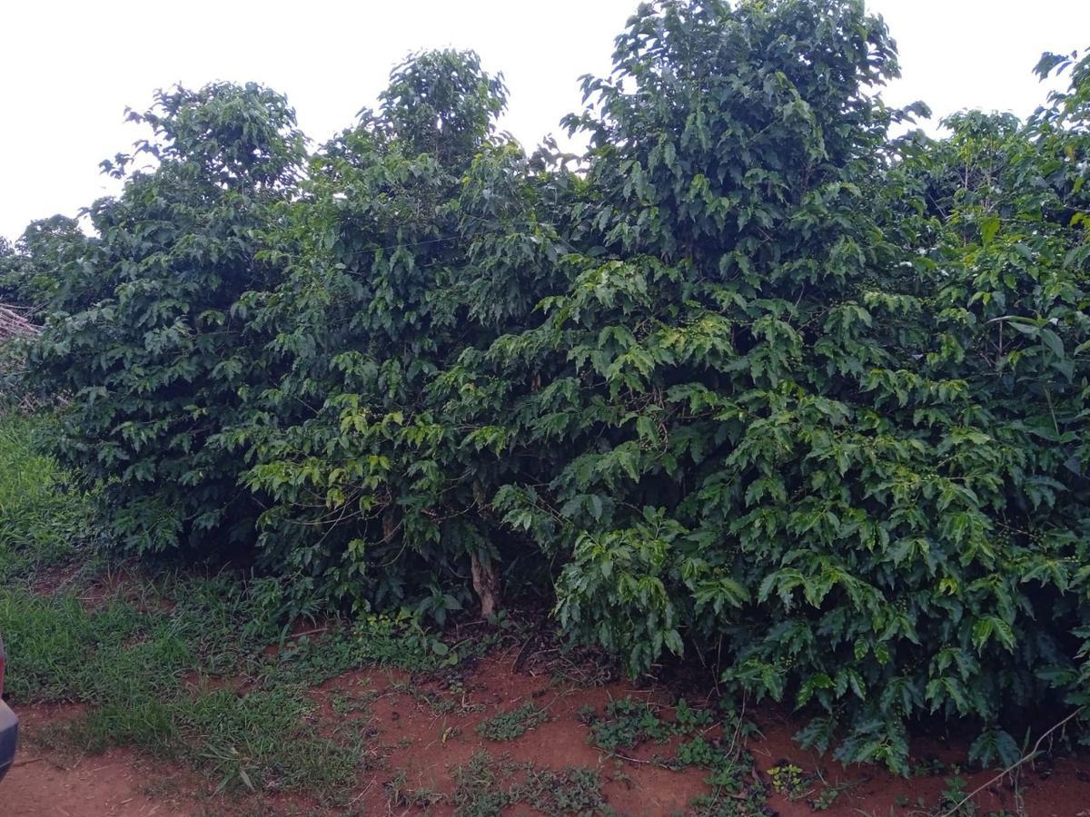 Fazenda, Zona Rural, 0 Quarto, 0 Vaga