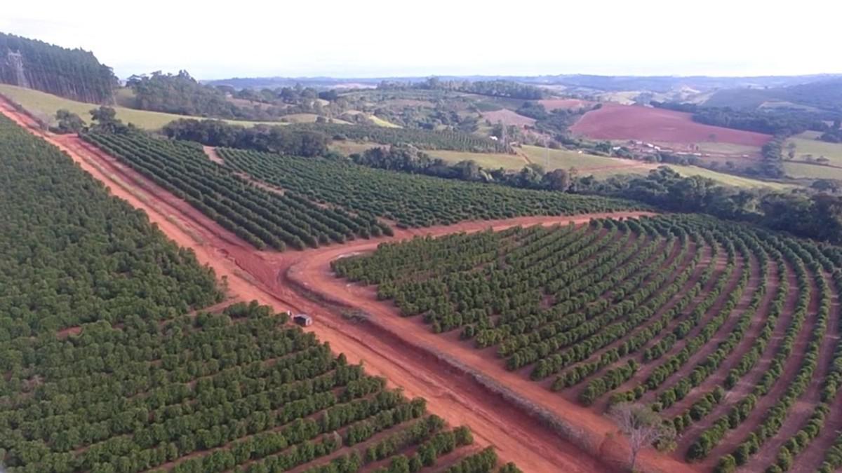 Fazenda, Zona Rural, 0 Quarto, 0 Vaga