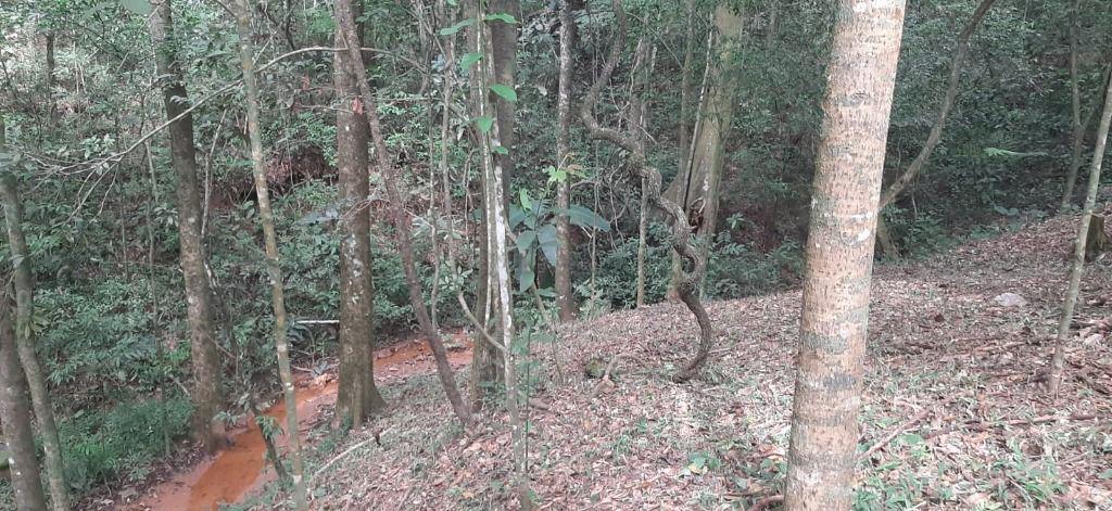 Fazenda, Arraial Velho, 0 Quarto, 0 Vaga