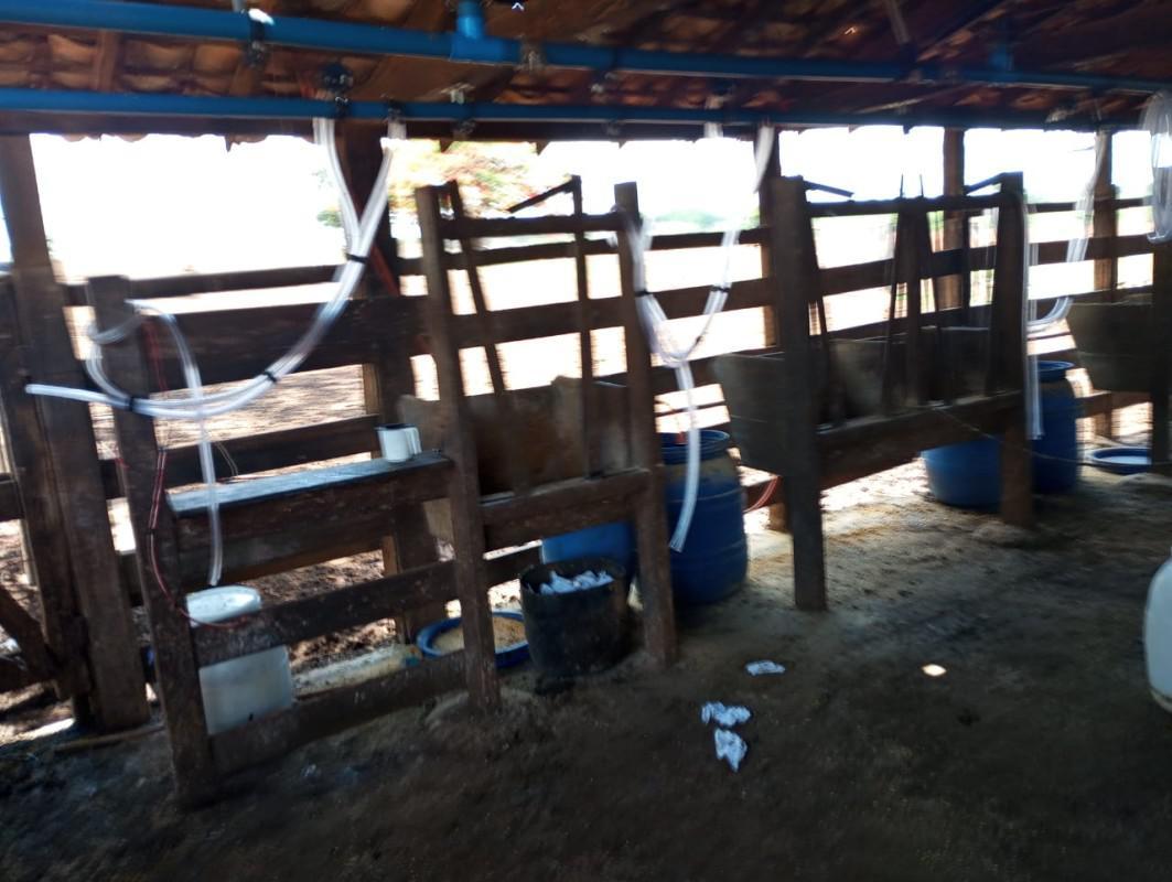 Fazenda, Centro, 0 Quarto, 0 Vaga