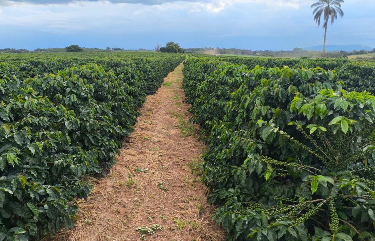 Fazenda, Zona Rural, 0 Quarto, 0 Vaga