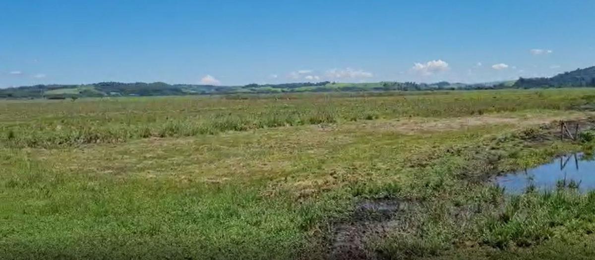 Fazenda, Centro, 0 Quarto, 0 Vaga