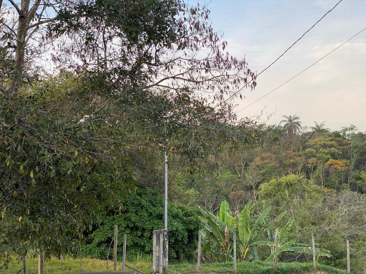 Lote, Condomínio Solar das Palmeiras, 0 Quarto, 0 Vaga