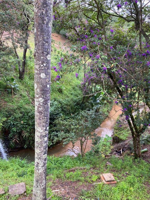 Fazenda, Morro Vermelho, 0 Quarto, 0 Vaga