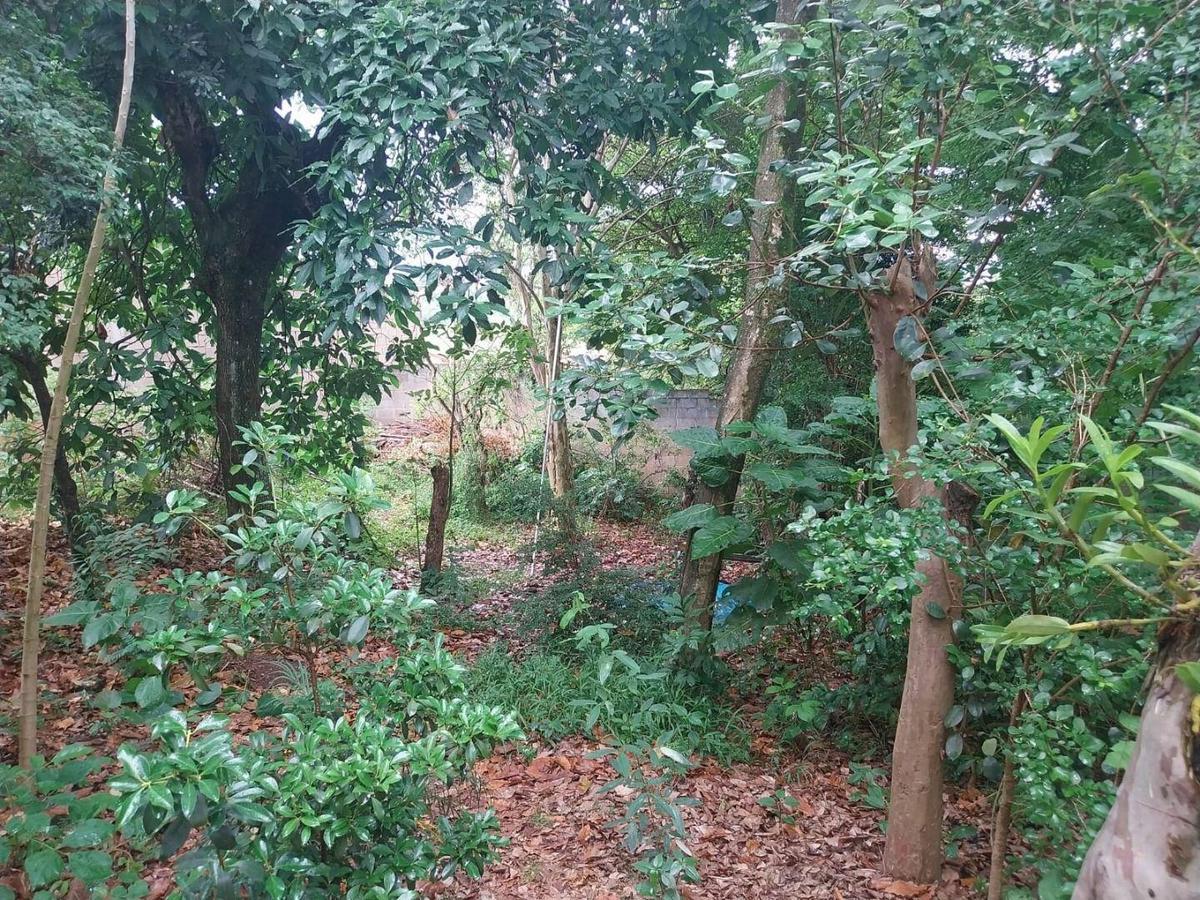 Lote, Jardim Andere, 0 Quarto, 0 Vaga