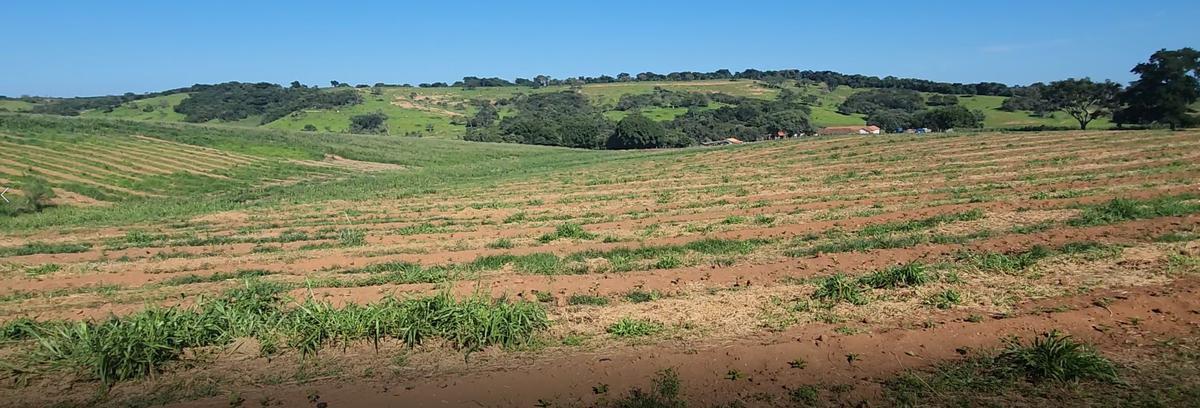 Fazenda, Zona Rural, 0 Quarto, 0 Vaga