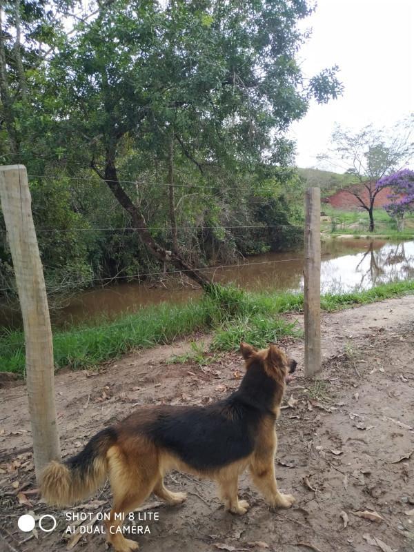 Fazenda, Centro, 0 Quarto, 0 Vaga