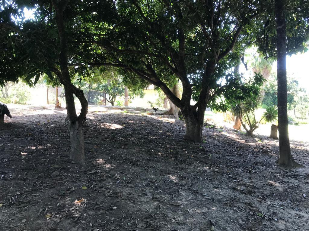 Fazenda, Zona Rural, 3 Quartos, 0 Vaga, 1 Suíte