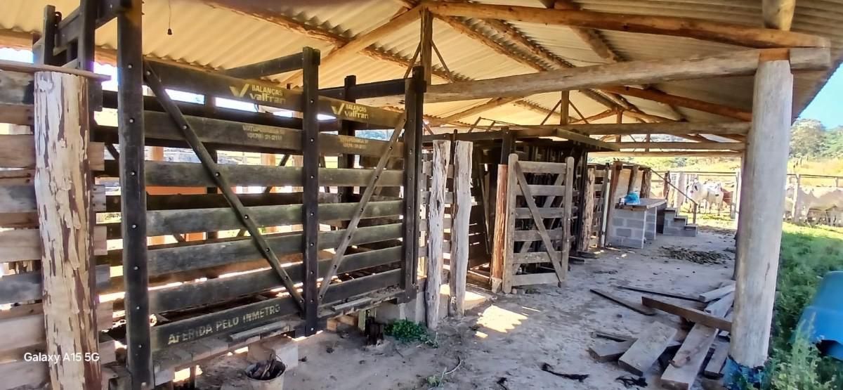 Fazenda, Centro, 6 Quartos, 10 Vagas, 2 Suítes