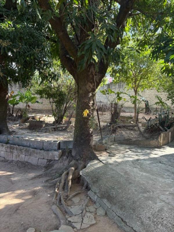 Lote, Boa Vista, 3 Quartos, 1 Vaga