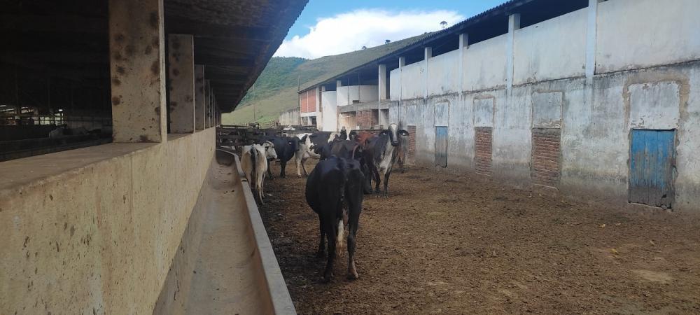 Fazenda, Centro, 3 Quartos, 1 Vaga