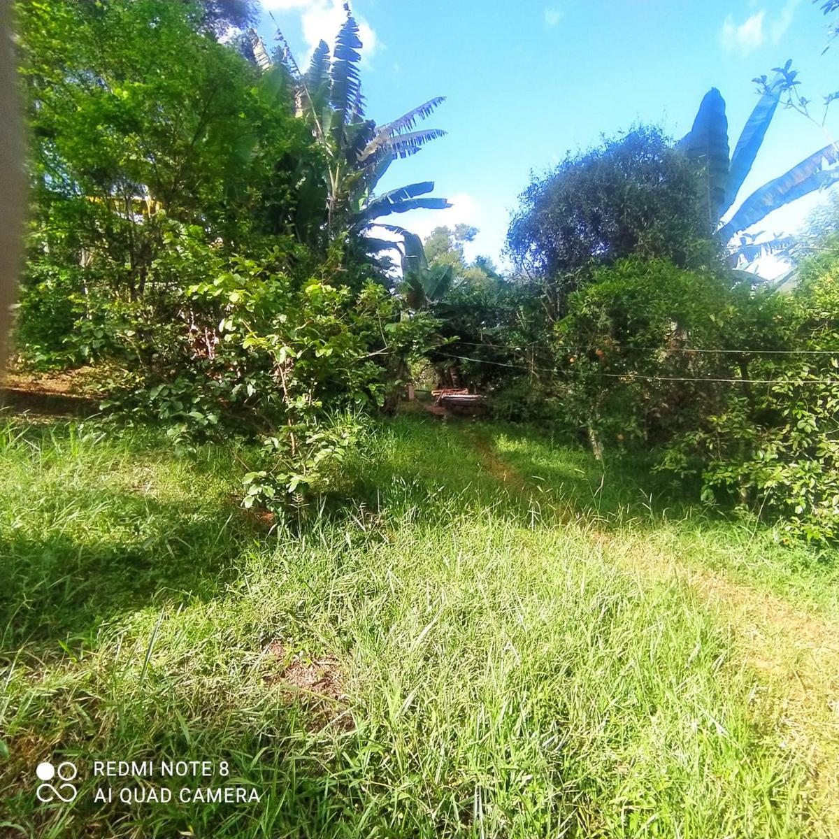 Fazenda, Zona Rural, 3 Quartos, 5 Vagas