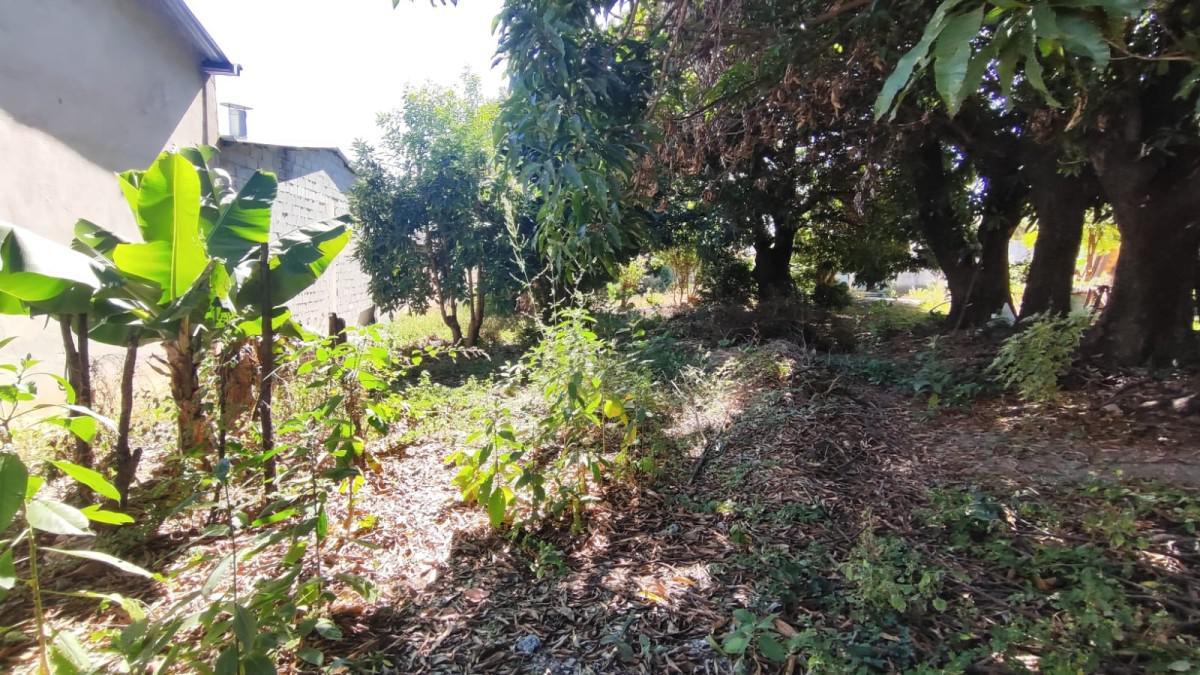 Lote, Novo Progresso, 0 Quarto, 0 Vaga