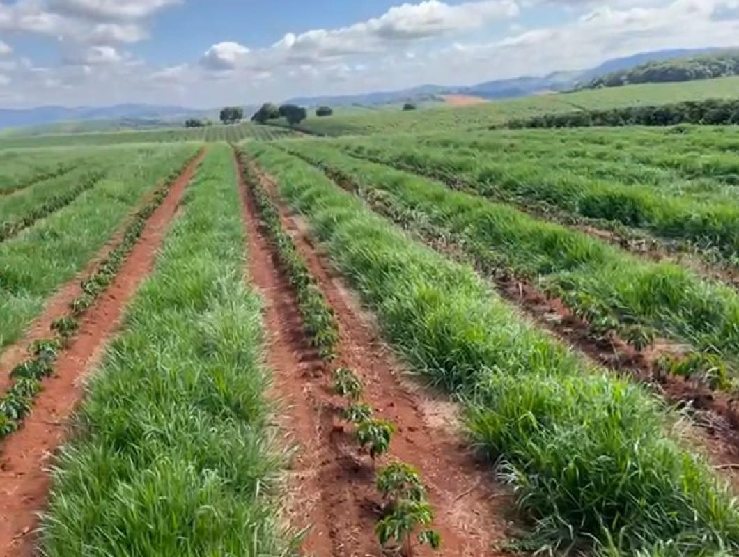 Fazenda, Zona Rural, 3 Quartos, 0 Vaga