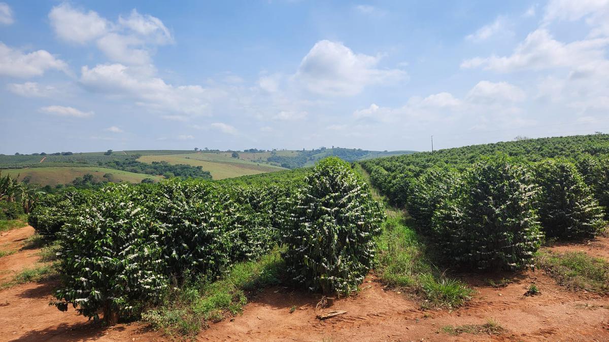 Fazenda, Zona Rural, 1 Quarto, 0 Vaga