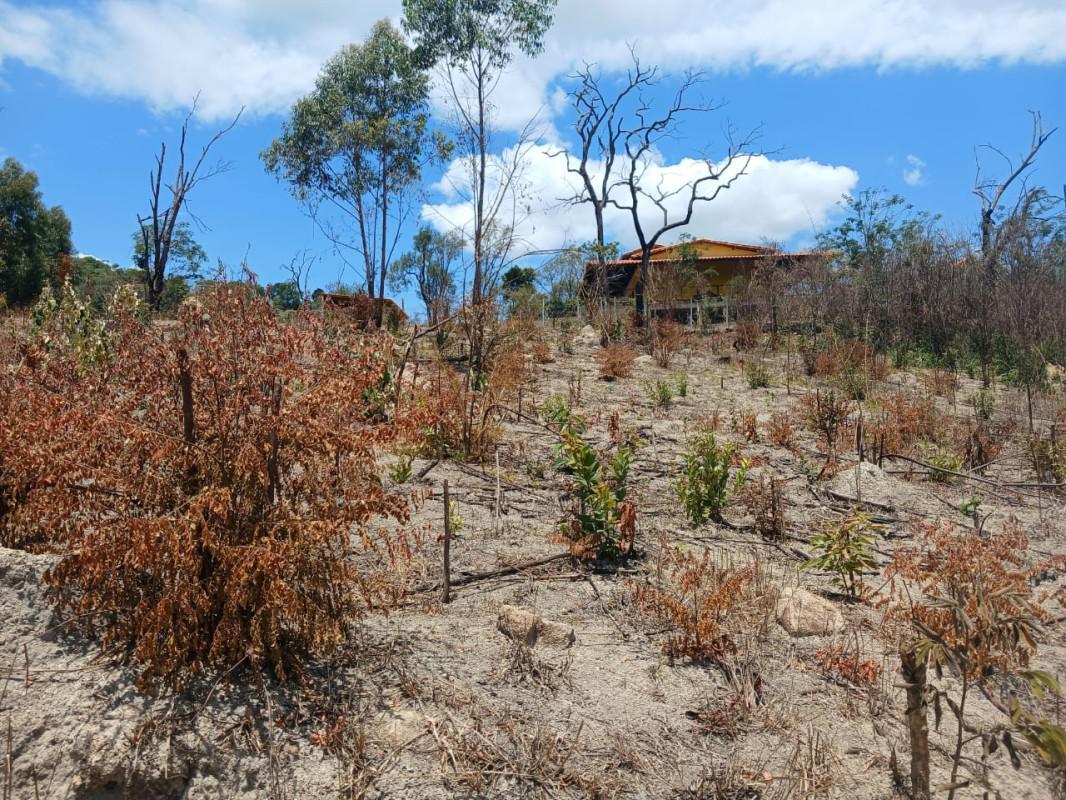 Lote, Roças Novas, 0 Quarto, 0 Vaga