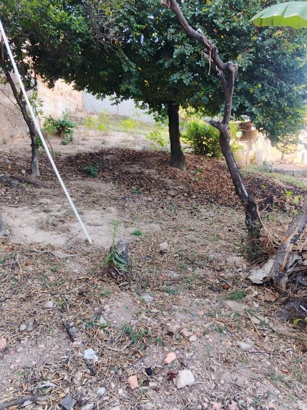 Lote, Pindorama, 0 Quarto, 0 Vaga