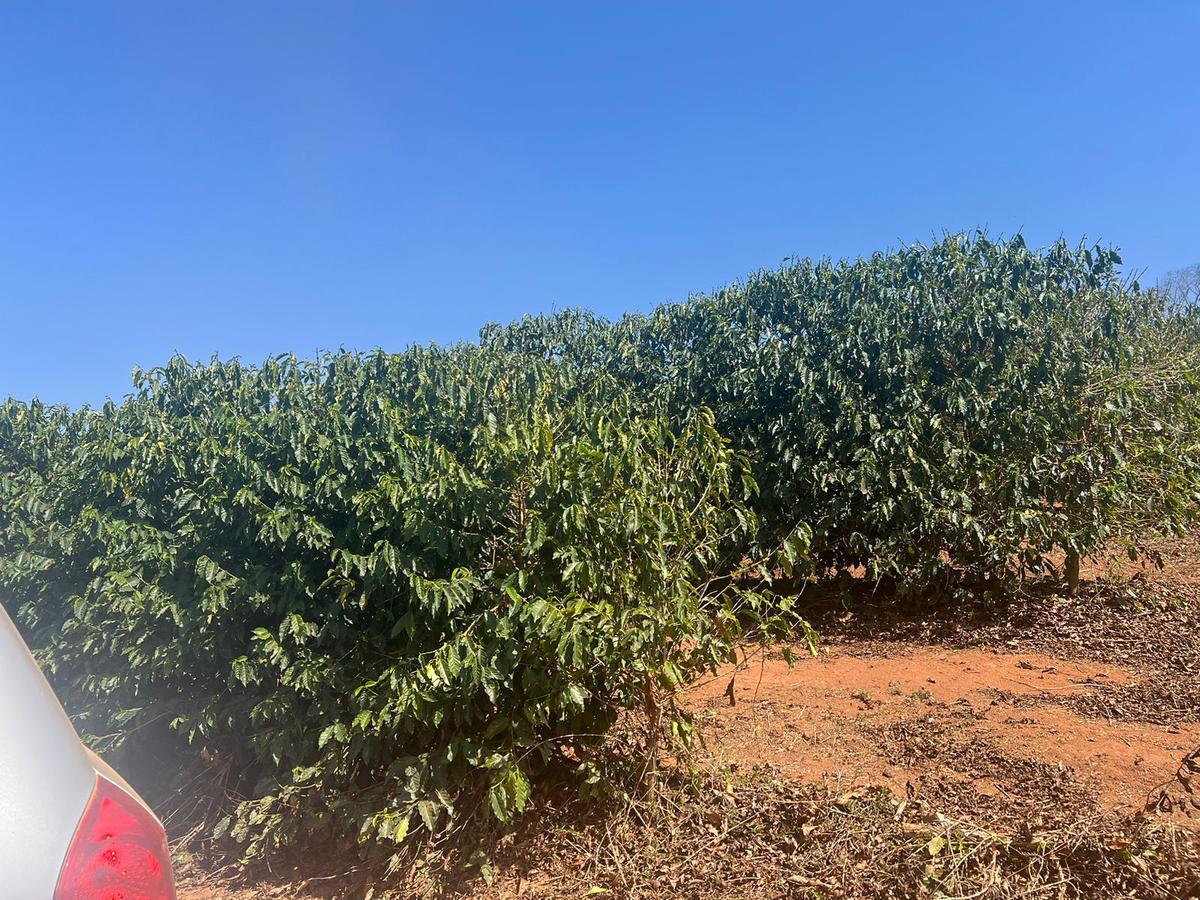 Fazenda, Zona Rural, 3 Quartos, 0 Vaga