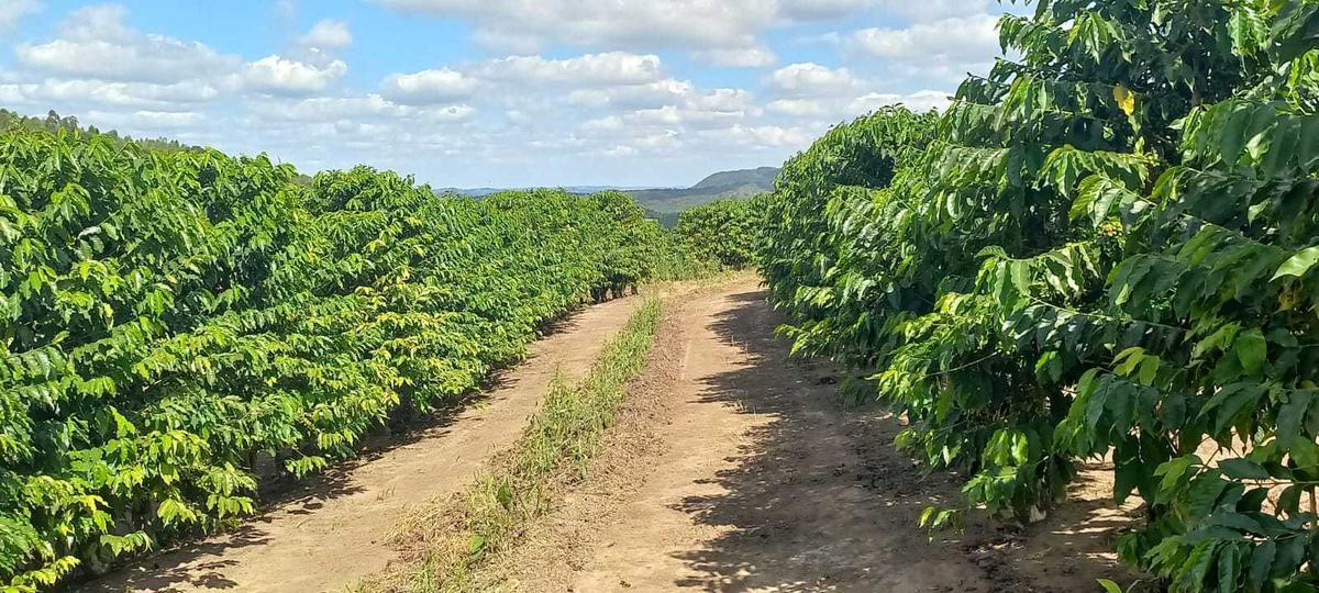 Fazenda, Zona Rural, 4 Quartos, 0 Vaga